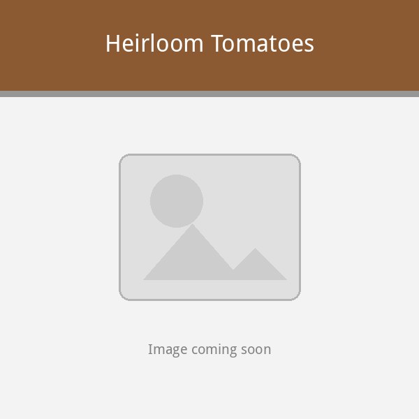Heirloom tomatoes we plan to grow